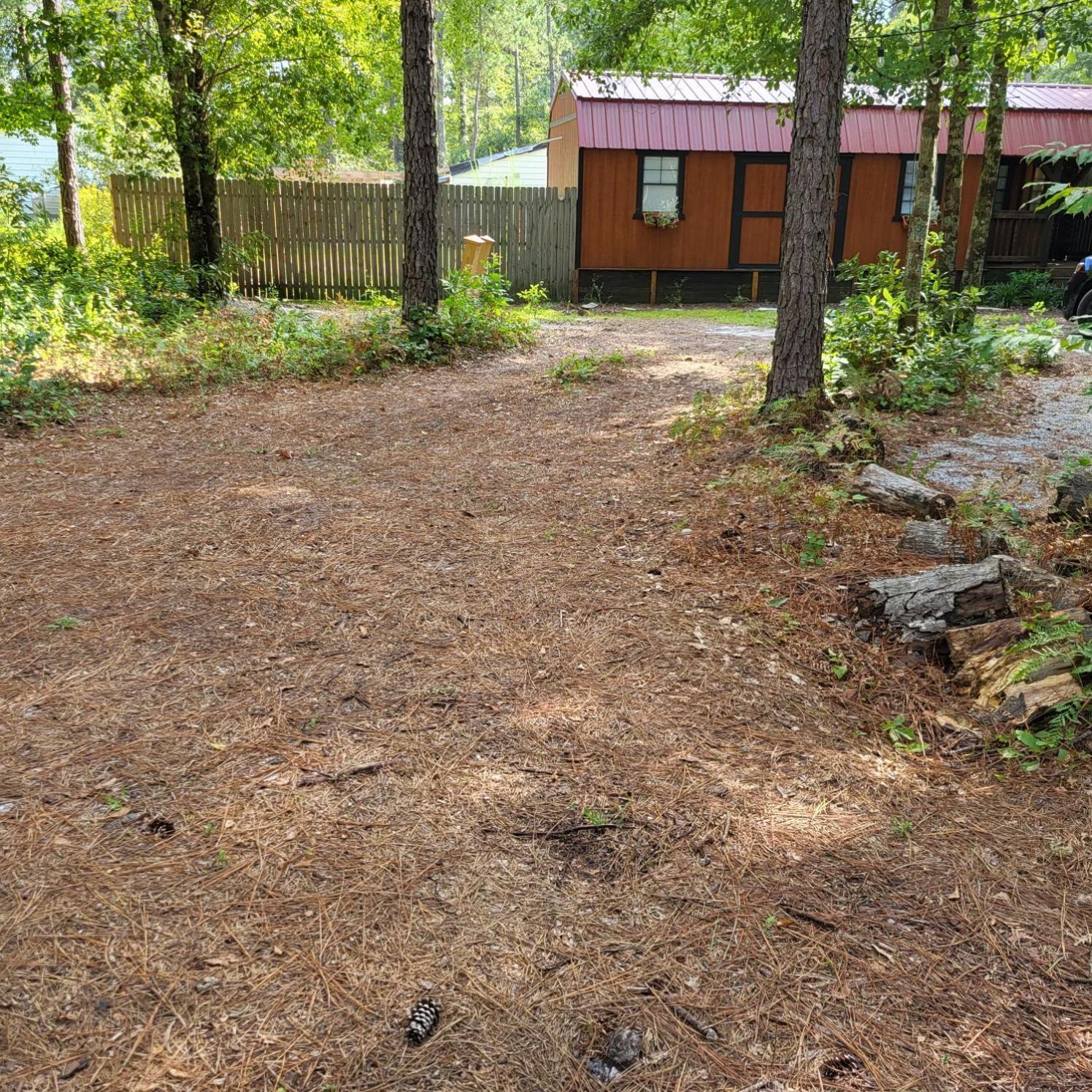 Fern Gully Cabin Conway Exterior photo